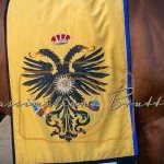 Palio 2 luglio 2023: la prima fotogallery di Massimiliano Bruttini
