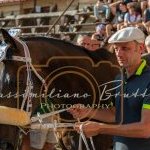Palio 2 luglio 2023: la prima fotogallery di Massimiliano Bruttini