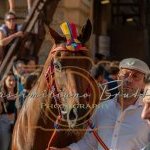 Palio 2 luglio 2023: la prima fotogallery di Massimiliano Bruttini