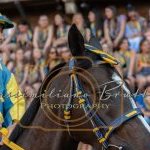 Palio 2 luglio 2023: la prima fotogallery di Massimiliano Bruttini