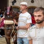 Palio 2 luglio 2023: la prima fotogallery di Massimiliano Bruttini