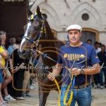 Palio 2 luglio 2023: la prima fotogallery di Massimiliano Bruttini