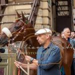 Palio 2 luglio 2023: la prima fotogallery di Massimiliano Bruttini