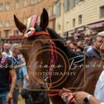 Palio 2 luglio 2023: la prima fotogallery di Massimiliano Bruttini