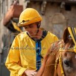 Palio 2 luglio 2023: la prima fotogallery di Massimiliano Bruttini