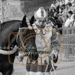 Palio 2 luglio 2023: la seconda fotogallery di Massimiliano Bruttini