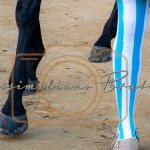 Palio 2 luglio 2023: la seconda fotogallery di Massimiliano Bruttini