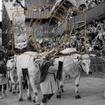Palio 2 luglio 2023: la seconda fotogallery di Massimiliano Bruttini