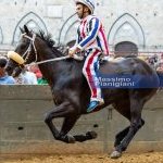 Palio 2 luglio 2023: la fotogallery di Massimo Pianigiani