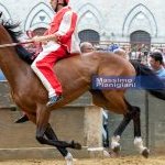 Palio 2 luglio 2023: la fotogallery di Massimo Pianigiani