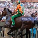 Palio 2 luglio 2023: la fotogallery di Massimo Pianigiani