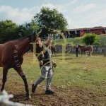 Palio 16 agosto 2023: terminata la prima giornata di Previsite: