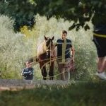 Palio 16 agosto 2023: terminata la prima giornata di Previsite: