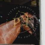 Palio 16 agosto 2023: terminata la prima giornata di Previsite: