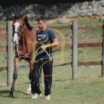 Palio 16 agosto 2023: terminata la prima giornata di Previsite: