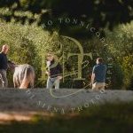 Palio 16 agosto 2023: terminata la prima giornata di Previsite: