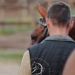 Palio 16 agosto 2023: terminata la due giorni di Previsite
