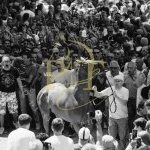 La fotogallery dell’assegnazione