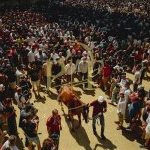 La fotogallery dell’assegnazione