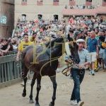 Palio 16 agosto 2023: la fotogallery della prima prova