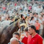 Palio 16 agosto 2023: la fotogallery della prima prova