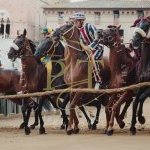 Palio 16 agosto 2023:  la fotogallery della Prova Generale