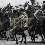 Palio 16 agosto 2023:  la fotogallery della Prova Generale