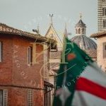 Oca: la fotogallery del Giro di Onoranze