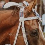 Palio 16 agosto 2023: la prima fotogallery di Massimiliano Bruttini