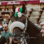 Palio 16 agosto 2023: la prima fotogallery di Massimiliano Bruttini