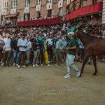 Palio 16 agosto 2023: la prima fotogallery di Massimiliano Bruttini