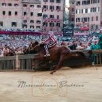Palio 16 agosto 2023: ecco la seconda fotogallery di Massimiliano Bruttini