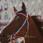 Palio 16 agosto 2023: ecco la seconda fotogallery di Massimiliano Bruttini