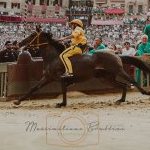Palio 16 agosto 2023: ecco la seconda fotogallery di Massimiliano Bruttini