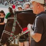 Palio 16 agosto 2023: ecco la seconda fotogallery di Massimiliano Bruttini