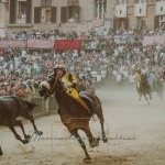 Palio 16 agosto 2023: la terza fotogallery di Massimiliano Bruttini
