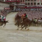 Palio 16 agosto 2023: la terza fotogallery di Massimiliano Bruttini
