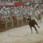 Palio 16 agosto 2023: la terza fotogallery di Massimiliano Bruttini