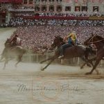 Palio 16 agosto 2023: la terza fotogallery di Massimiliano Bruttini