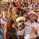 Palio 16 agosto 2023: la quinta ed ultima fotogallery di Massimiliano Bruttini