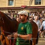 Palio 16 agosto 2023: la quinta ed ultima fotogallery di Massimiliano Bruttini