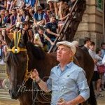 Palio 16 agosto 2023: la quinta ed ultima fotogallery di Massimiliano Bruttini