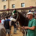 Palio 16 agosto 2023: la quinta ed ultima fotogallery di Massimiliano Bruttini