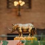 Selva: la fotogallery del ricevimento delle Autorità