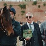 Oggi si è svolta la seconda Rassegna dei puledri anglo arabi