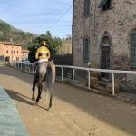 Palio di Buti: la fotogallery