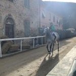 Palio di Buti: la fotogallery