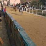 Palio di Buti: la fotogallery