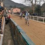 Palio di Buti: la fotogallery