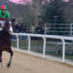Palio di Buti: la fotogallery